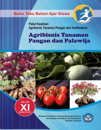 Buku Agribisnis Tanaman Pangan dan Palawija 3 Kelas 11 SMK
